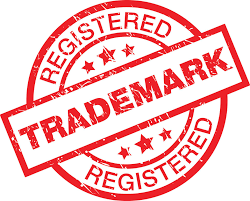 GST Registration, ITR Filing, Business Registration, Startup Consultancy, Trade License, ISO Certification, Legal Compliance, Business Loan, MSME Registration, Payroll Services, Financial Audit, ROC Filing, Tax Advisory, Bookkeeping, Subsidy Assistance, Insurance Services, TDS Return, PF & ESI Return – The Specific Services