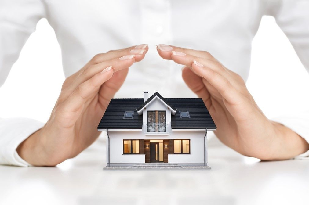 GST Registration, ITR Filing, Business Registration, Startup Consultancy, Trade License, ISO Certification, Legal Compliance, Business Loan, MSME Registration, Payroll Services, Financial Audit, ROC Filing, Tax Advisory, Bookkeeping, Subsidy Assistance, Insurance Services, TDS Return, PF & ESI Return – The Specific Services